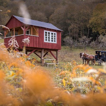 Valea Verde Retreat Transilvania Cund Exteriör bild