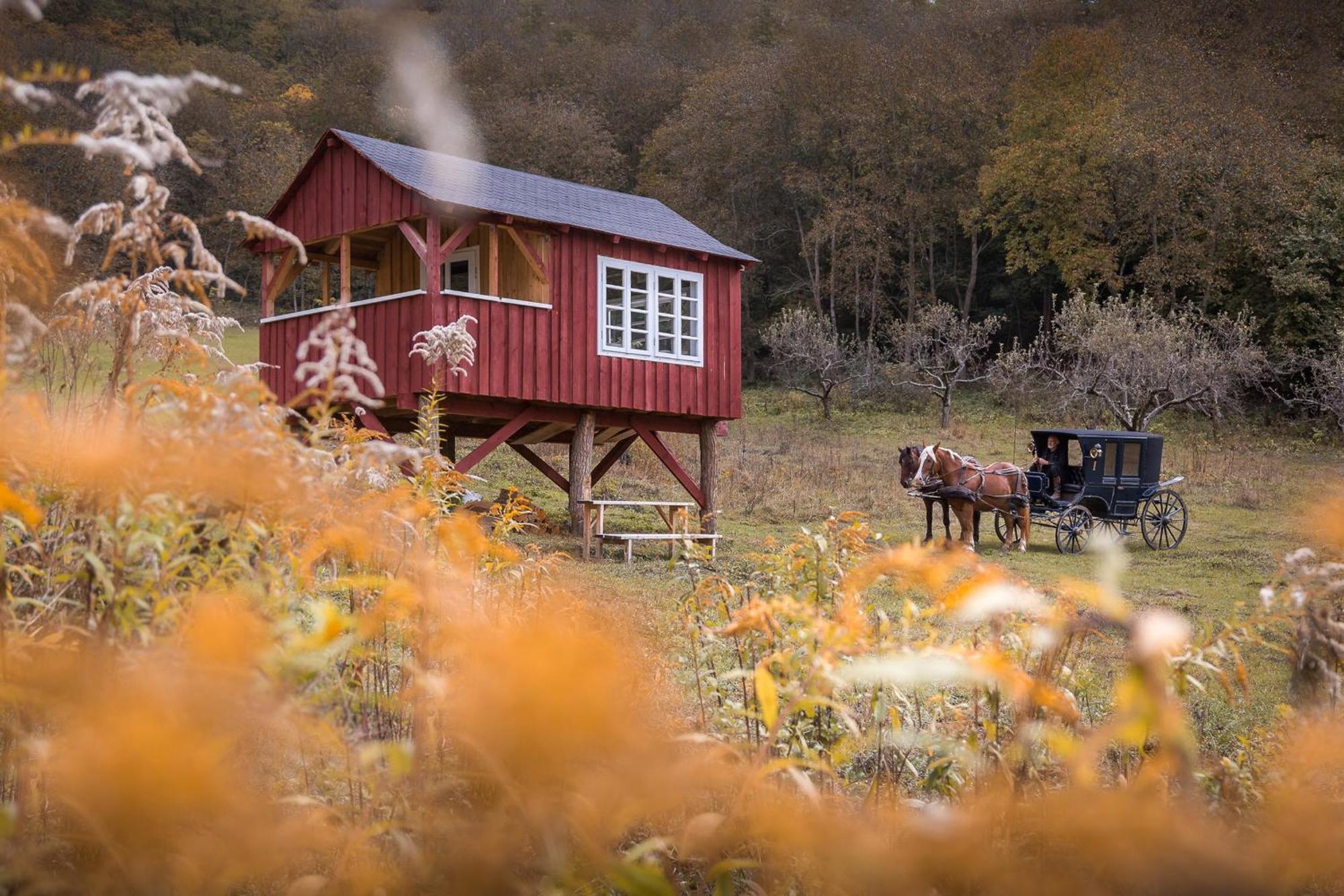 Valea Verde Retreat Transilvania Cund Exteriör bild